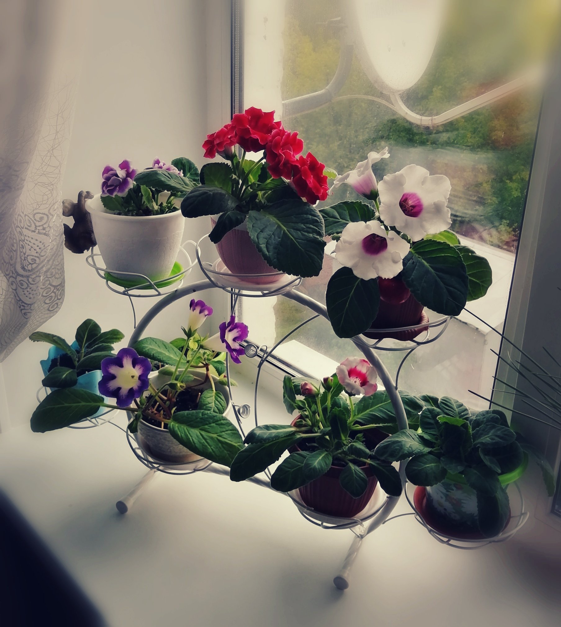 Подставка для цветов металлическая наоконная. Фото N10