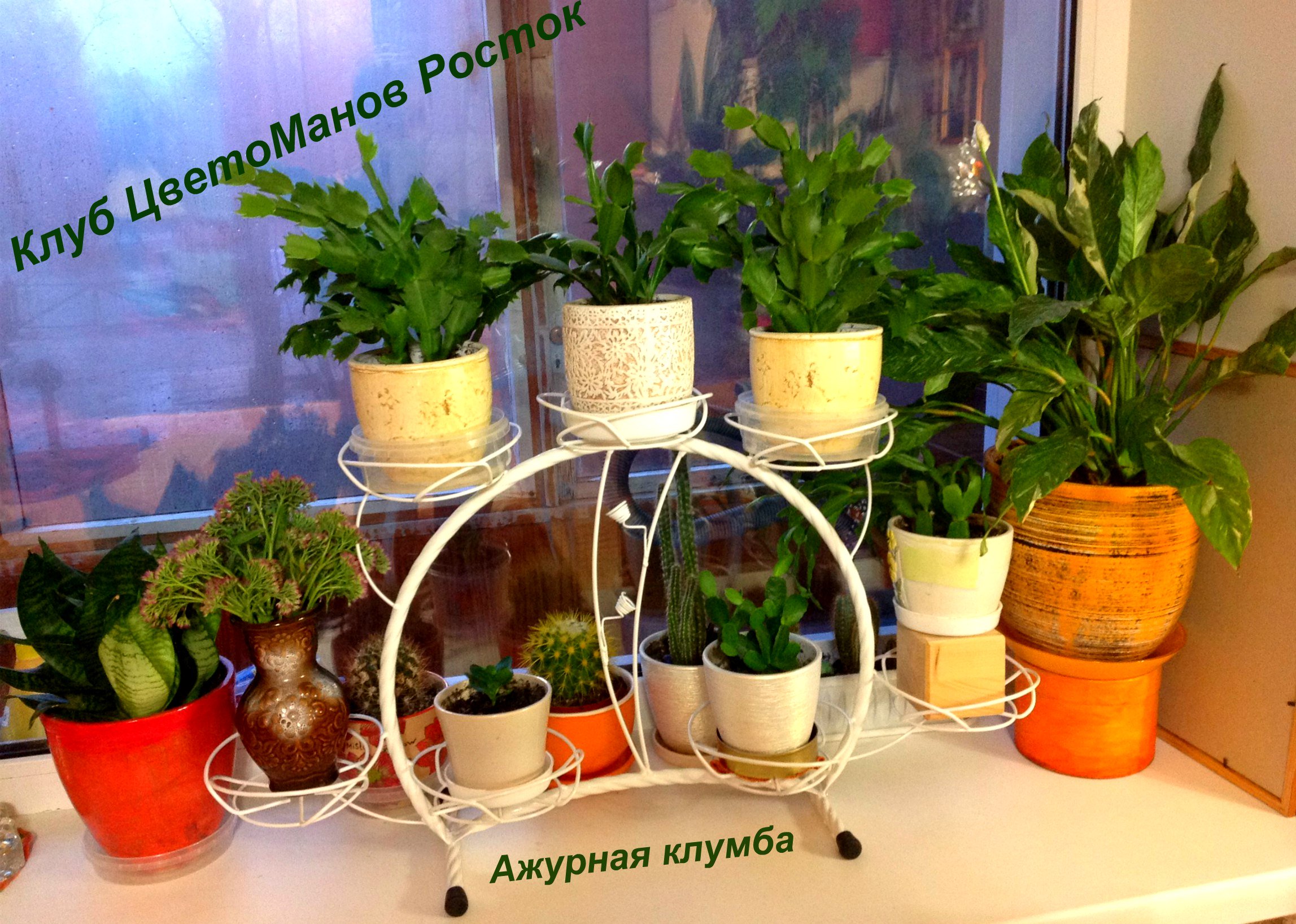 Подставка для цветов металлическая наоконная. Фото N8