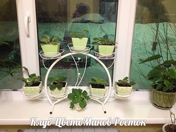 Подставка для цветов металлическая наоконная. Фото N2