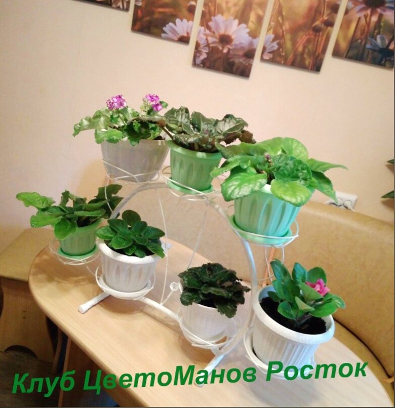 Подставка для цветов металлическая наоконная. Фото N12