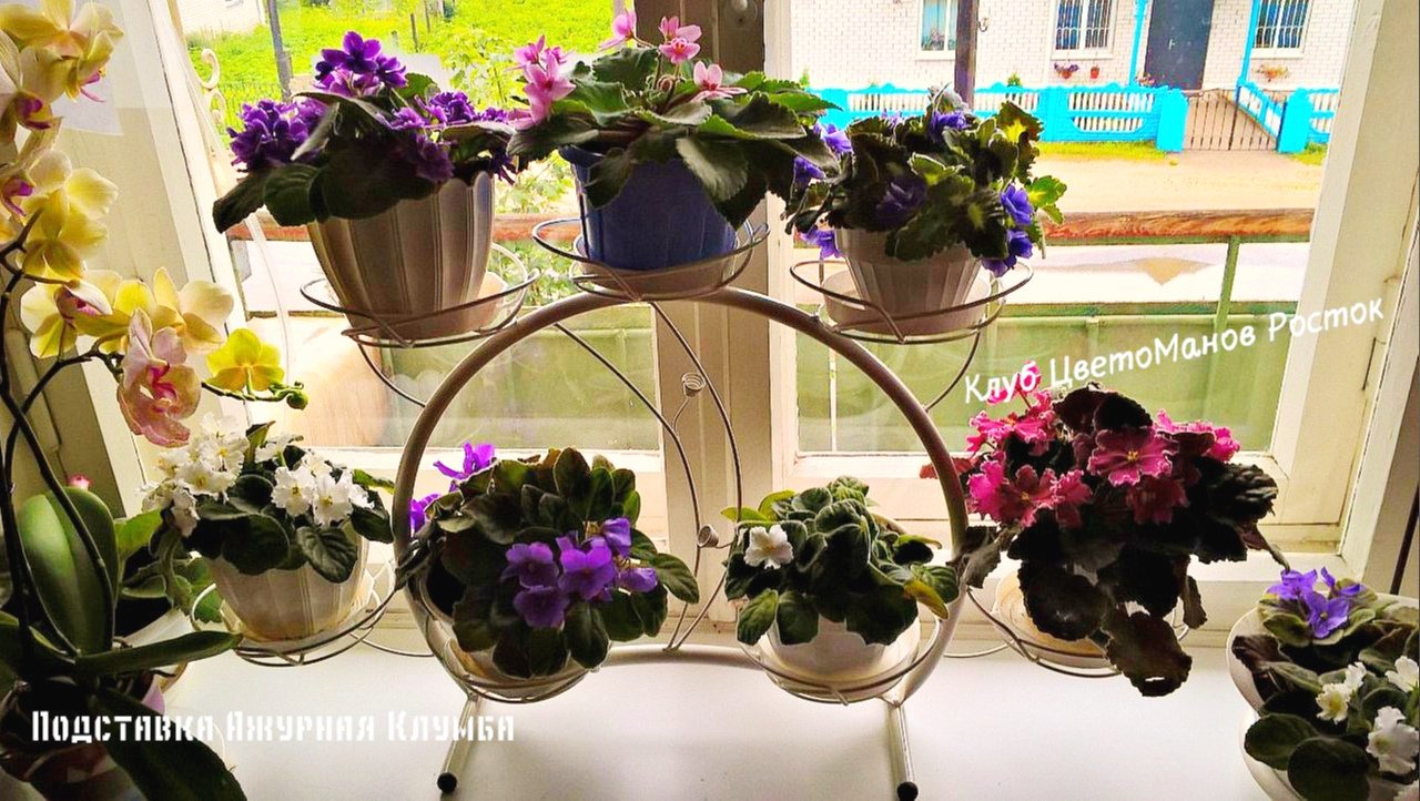 Подставка для цветов металлическая наоконная. Фото N14