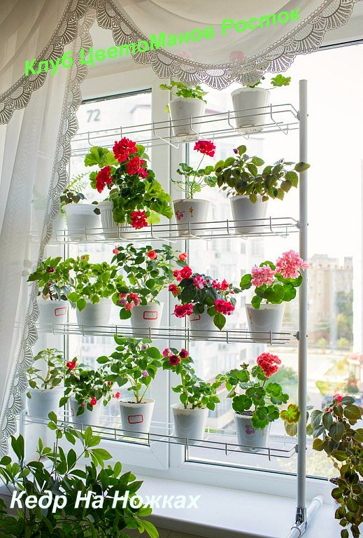 разборный стеллаж на подоконник для растений и рассады. Фото N16